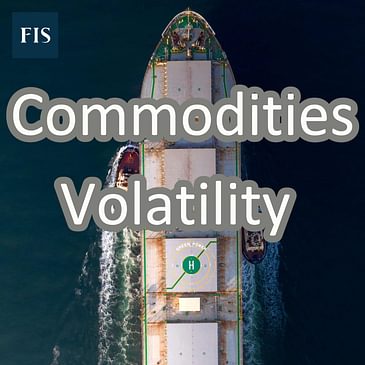 Commodities Volatility: Our CEO John Banaszkiewicz looks back at 2023 (and forecasts for 2024)