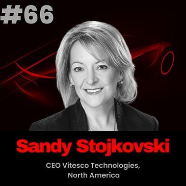 Meet Sandy Stojkovski, CEO Vitesco Technologies, North America