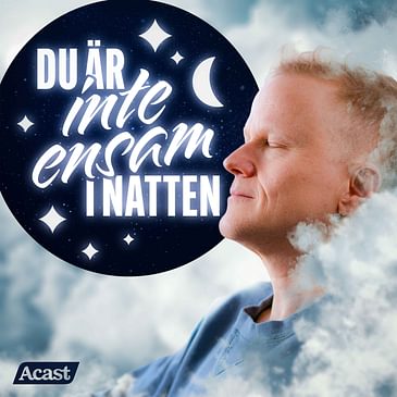 Du är inte ensam i natten - del 7