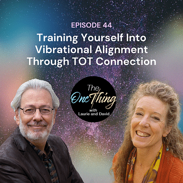 Episode 46: Training Yourself Into Vibrational Alignment Through TOT Connection