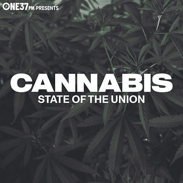 The Current State of Cannabis w/ Brandon Melendez & Shavo Odadjian