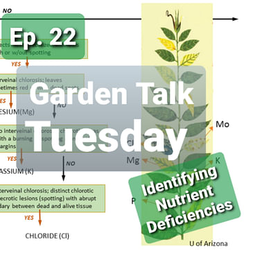 Ep. 22 - Garden Talk Tuesday: Plant Nutrient Deficiencies and Toxicity