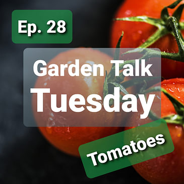 Ep. 28 - Garden Talk Tuesday: Tomatoes