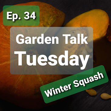 Ep. 34 - Garden Talk Tuesday: Winter Squash