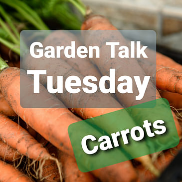 Ep. 42 - Just Grow Carrots