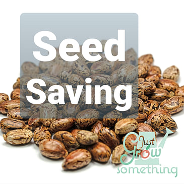 Ep. 62 - Properly Saving Seeds in Your Garden