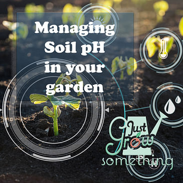 Ep. 76 - Managing Soil pH in Your Garden