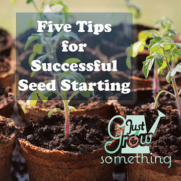 Ep. 77 - Five Tips to Successful Seed Starting