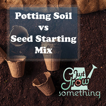 Ep. 78 - Seed Starting Mix vs Potting Soil, plus How to Make Your Own