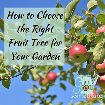 Ep. 103 - How to Choose the Right Fruit Tree for Your Garden