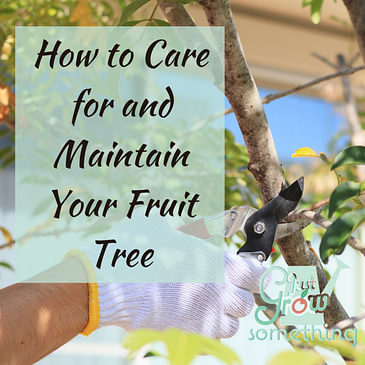 Ep. 105 - How to Care for and Maintain Your Fruit Tree