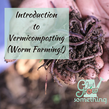 Ep. 106 - Introduction to Vermicomposting (Worm Farming!)