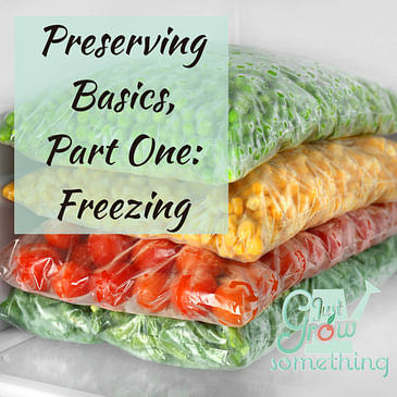 Ep. 109 - Preserving, Part One: Freezing
