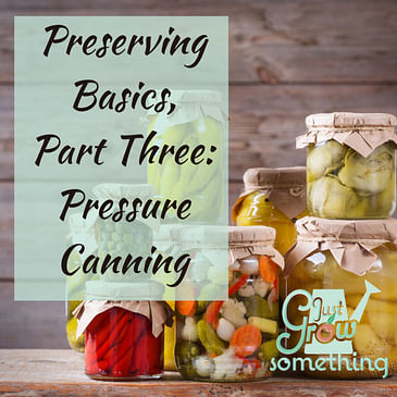 Ep. 111 - Preserving Basics, Part Three: Pressure Canning