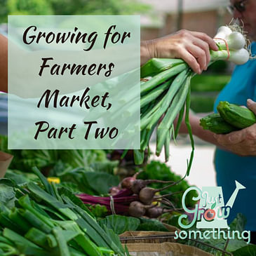 Ep. 120 - Growing for Farmers Market, Part Two: Planning, Planting and Pricing