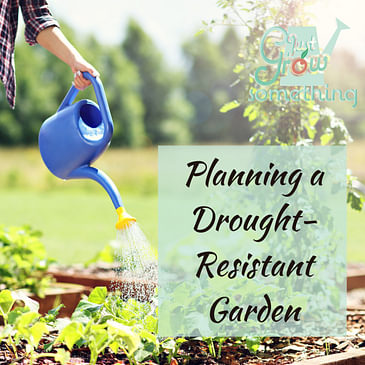 Ep. 122 - Planning a Drought-Resistant Garden: Tips, Tricks, and Techniques