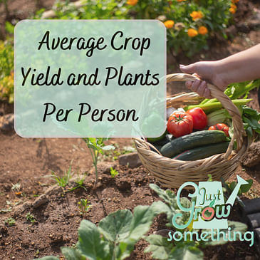 Ep. 132 - Average Crop Yield and Plants Per Person: How Much Space Do You Need in the Garden?
