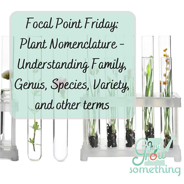 Focal Point Friday: Understanding Plant Nomenclature - Family, Genus, Species, Variety, and more.