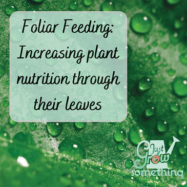 Ep. 139 - Foliar Feeding: Increasing Plant Nutrition Through Their Leaves