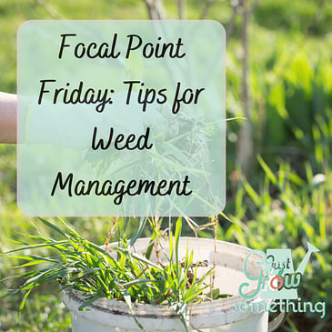 Focal Point Friday: Quick Tips for Weed Management