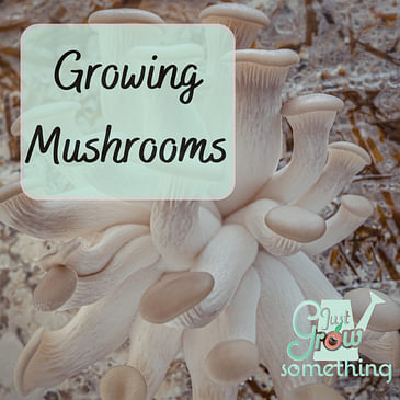 Ep. 140 - Growing Mushrooms