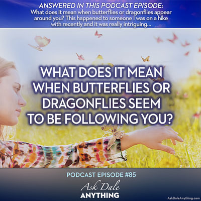 Episode 85 – What Does it Mean When Butterflies or Dragonflies Seem to be Following You?