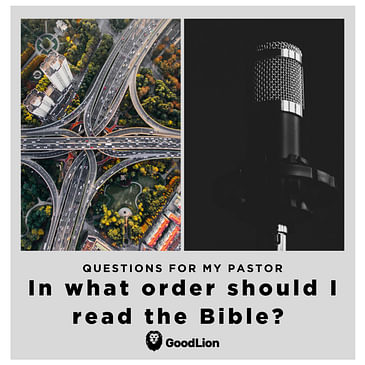 12. In what order should I read the Bible?