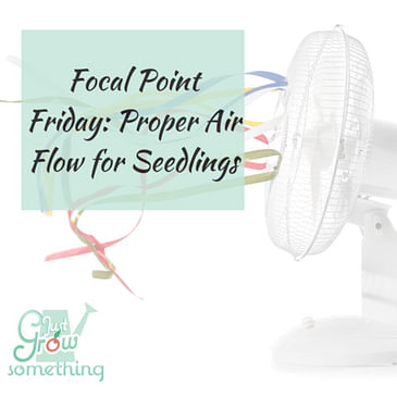 Focal Point Friday: Proper Airflow for Seedlings