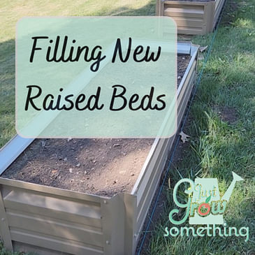 Ep. 136 - Filling New Raised Beds