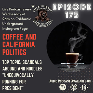 Episode 175 - Scandals Abound in LA County and Noodles "Unequivocally" Running for President