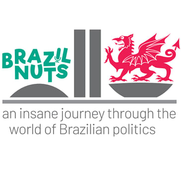 From trans to eternity: João W. Nery and trans identity as a right in Brazil