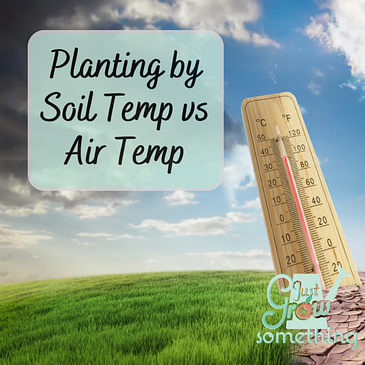 Ep. 142 - Planting by Soil Temperature vs Air Temperature: When's the best time to plant?