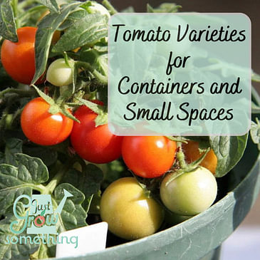 Tomato Varieties for Containers and Small Spaces