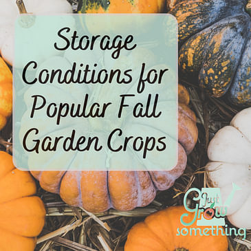 Storing the Most Popular Types of Fall Garden Crops: No Freezing, No Canning, No Dehydrating Required - Ep. 162