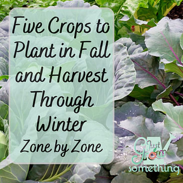 Five Crops to Plant in Fall for Winter Harvest, Zone by Zone - Ep. 163