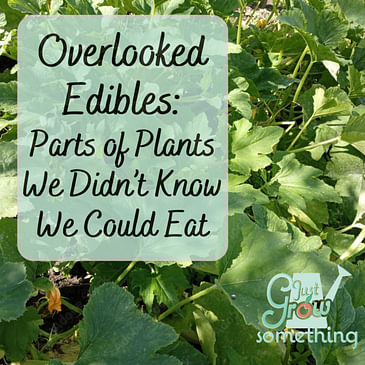 Overlooked Edibles: Parts of Our Garden We Didn't Know We Can Eat - Ep. 165
