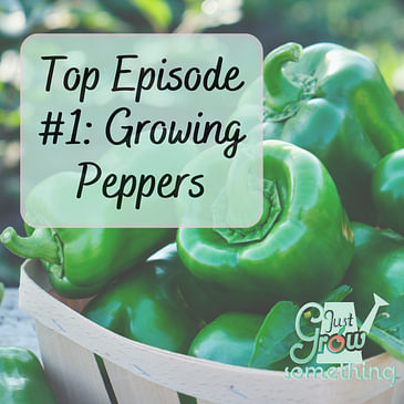 Top Episode 1: Growing Peppers - Ep. 177