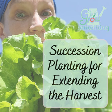 Succession Planting to Extend the Harvest - Ep. 181