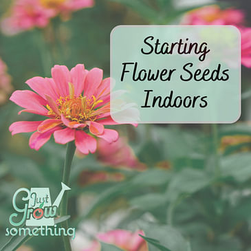 Starting Flower Seedlings Indoors - Ep. 183
