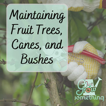 Maintaining Fruit Trees, Bushes, and Canes