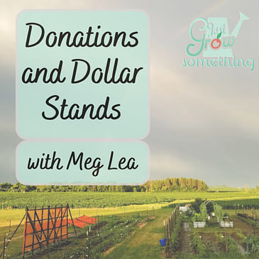 Donations and Dollar Stands with Meg Lea - Ep. 188