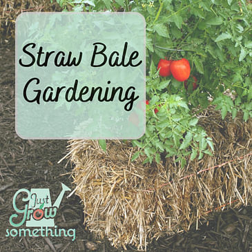 Straw Bale Gardening - Ep. 189