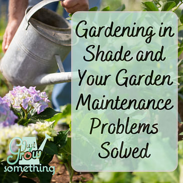 Gardening in Shade and Solving Your Garden Maintenance Problems - Ep. 196