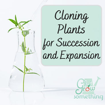 Cloning Plants for Succession and Expansion -Ep. 198