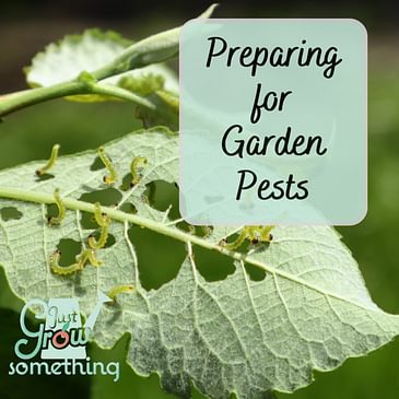 Be Prepared for Garden Pests – Ep. 245