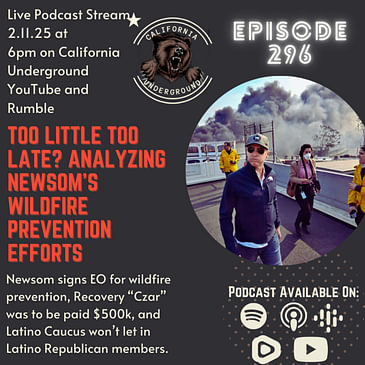 Too Little Too Late? Analyzing Newsom's Wildfire Prevention Efforts