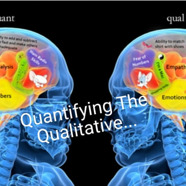 Quantifying The Qualitative...