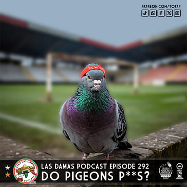 Episode 292 - Las Damas - Do Pigeon's P**s?