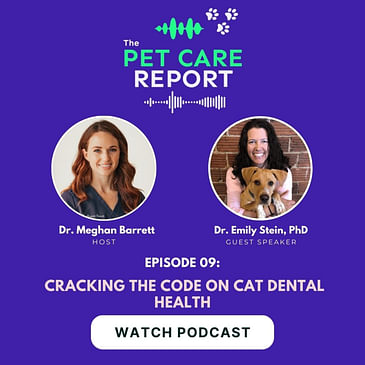 Dr. Emily Stein: Cracking the Code on Cat Dental Health | E9
