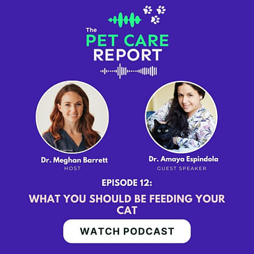 Dr. Amaya Espindola: What You Should Be Feeding Your Cat | E12